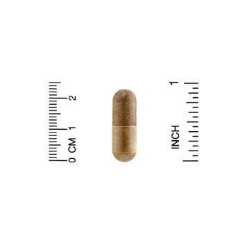 California Gold Nutrition Bee Propolis 2X Concentrated Extract 240 капсул (4384303747) 1478241467 фото