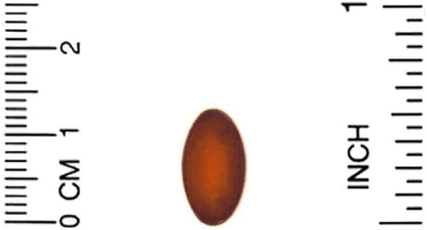 California Gold Nutrition PQQ 20 mg 30 капсул (4384304150) 1589283445 фото