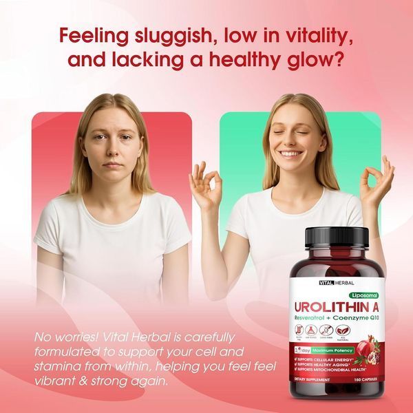 Домішка преміумкласу для м'язової енергії Vital Herbal Urolithin A with Resveratrol Coenzyme Q10 150 капсул 2761488850 фото