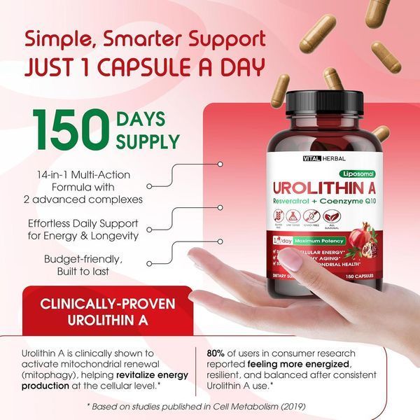 Домішка преміумкласу для м'язової енергії Vital Herbal Urolithin A with Resveratrol Coenzyme Q10 150 капсул 2761488850 фото
