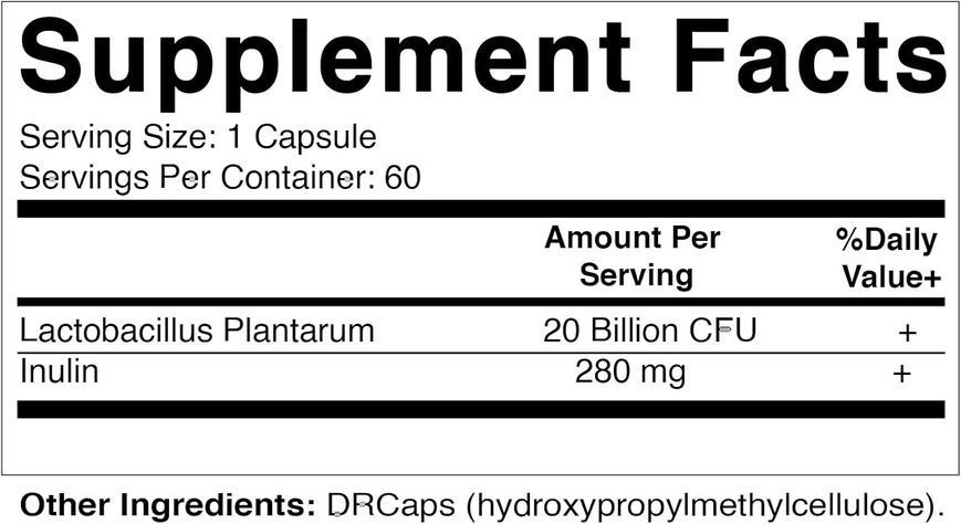 Добавка премиум-класса пищеварительная поддержка Vitamatic Lactobacillus Plantarum 20 Billion 60 капсул 4384308357 фото