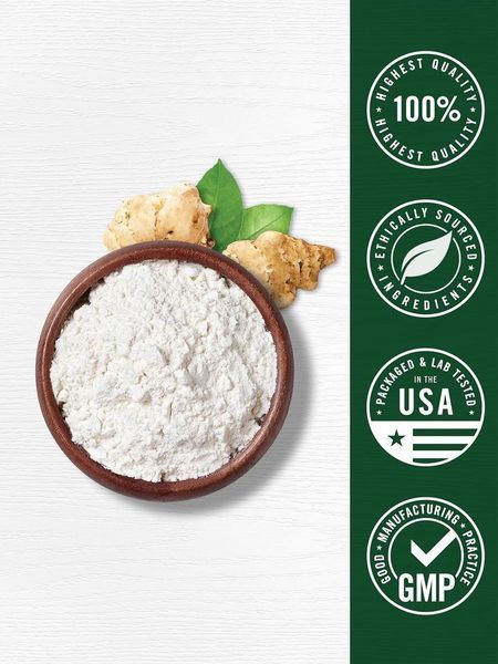 Домішка преміумкласу органічна суміш пребіотичних волокон Carlyle Probiotic and Prebiotic Powder 135 г 2816487842 фото