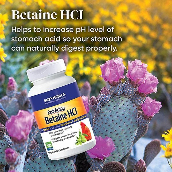 Enzymedica Betaine HCL 120 капсул (4384303765) 1484206193 фото