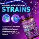 Домішка преміумкласу для здоров'я травлення Built by Nature 90 Billion CFU Probiotic 60 капсул 2855008674 фото 4