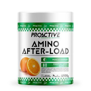 Амінокислота ProActive Amino After-Load 500 г Апельсин (4384301762) 1060003098 фото