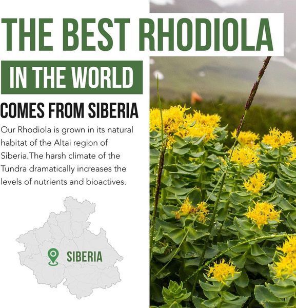 Сибірська родіола преміумкласу Triquetra Health Siberian Rhodiola 60 капсул 2355285152 фото