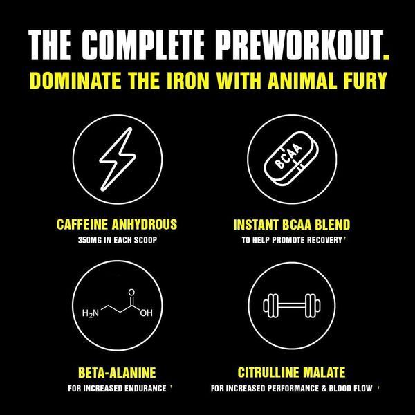 Передтренувальний комплекс Universal Nutrition Animal Fury 480 г Фруктовий пунш (4384300876) 1437158465 фото