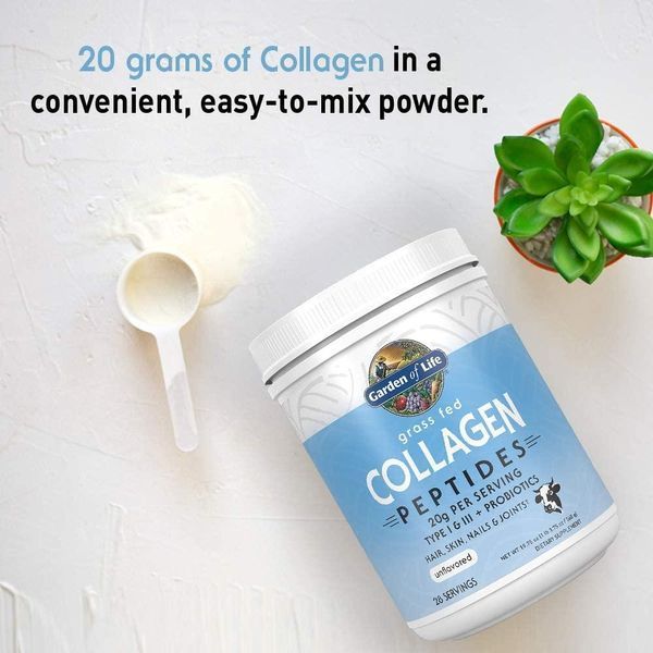 Хондропротектор Garden of Life Grass Fed Collagen Peptides Powder 560 г (4384303413) 1437160704 фото