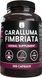 Добавка премиум-класса подавления чувства голода караллума фимбриата Pure Original Ingredients Caralluma Fimbriata 365 капсул 2600010734 фото 1