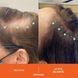 Шампунь для роста и укрепления волос с блокатором DHT премиум-класса DS Laboratories Revita Hair Density Shampoo 205 мл 2369818981 фото 5