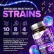 Добавка премиум-класса уменьшающие газы и вздутие Built by Nature Daily Probiotic 120 капсул 2859986347 фото 3