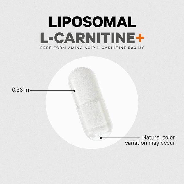 Карнитин в свободной форме липосомальная доставка Codeage Liposomal L-Carnitine 90 капсул 4384305796b фото