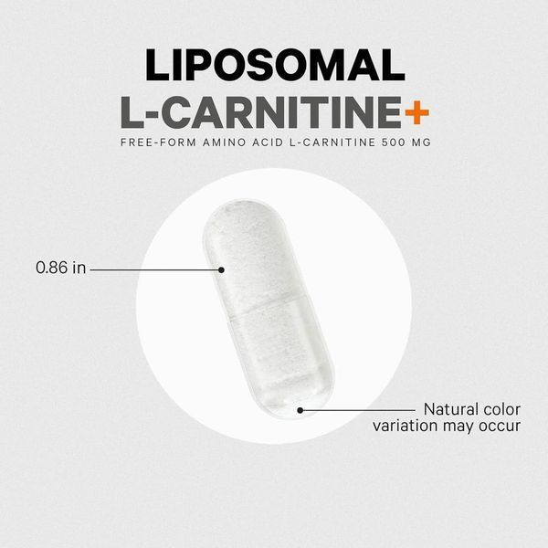 Карнитин в свободной форме липосомальная доставка Codeage Liposomal L-Carnitine 90 капсул 2058331932 фото