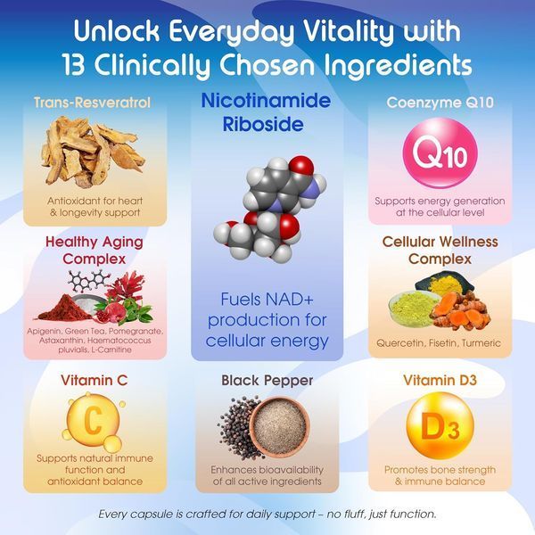 Добавка премиум-класса здоровье клеток Vitаl Herbal Liposomal Nicotinamide Riboside with Resveratrol & CoQ10 150 капсул 4384133443 фото