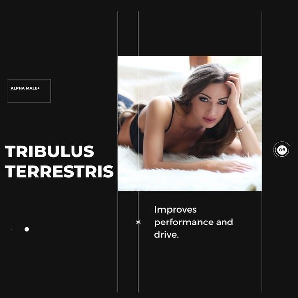 Комплексна преміум домішка для підвищення загального тестостерону та поліпшення чоловічого здоров'я Evolve Nutraceuticals Alpha Male+ 60 2206158509 фото