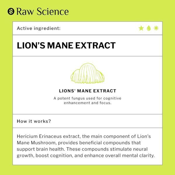 Рідка ноотропна добавка для підтримки мозку Raw Science Lions Mane Extract 60 мл 2135128960 фото