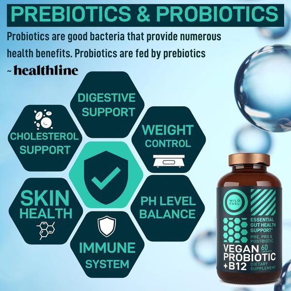 Пребиотики и пробиотики Wild Fuel Vegan Probiotic Plus B12 60 капсул 2079829853 фото
