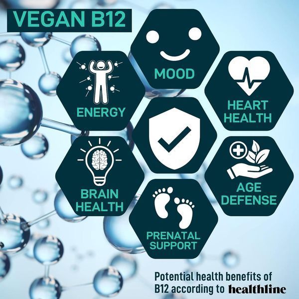 Пребиотики и пробиотики Wild Fuel Vegan Probiotic Plus B12 60 капсул 2079829853 фото