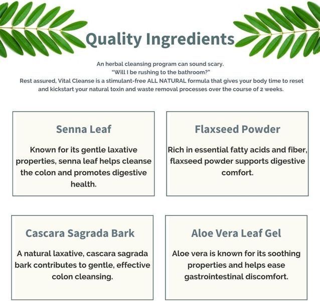 Ускоренное снижение веса премиум-класса Evolve Nutraceuticals Vital Cleanse 30 капсул 2206158510 фото