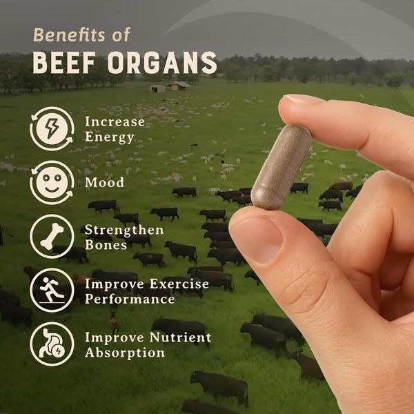 Добавка премиум-класса для общего здоровья HEART & SOIL Beef Organs 180 капсул 3173461706 фото