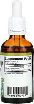 Natural Factors Liquid Kelp 800 mcg 50 мл (4384303837) 1497484479 фото