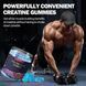 Креатин моногидрат жевательные конфеты премиум-класса Totaria Creatine Monohydrate Gummies 120 таблеток 2323830786 фото 4