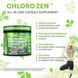 Домішка преміумкласу для детоксикації Clean Nutraceuticals Chlorophyll Peppermint Slippery Elm 60 капсул 2921981833 фото 7