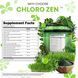 Домішка преміумкласу для детоксикації Clean Nutraceuticals Chlorophyll Peppermint Slippery Elm 60 капсул 2921981833 фото 4