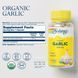 Solaray Garlic 100 капсул (4384304547) 1684742223 фото 4