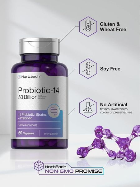 Добавка премиум-класса пробиотики с пребиотиками Horb&auml;ach Probiotics with Prebiotics 60 капсул 2482474952 фото