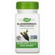 Nature's Way Bladderwrack 580 mg 100 капсул (4384303791) 1484206218 фото 1