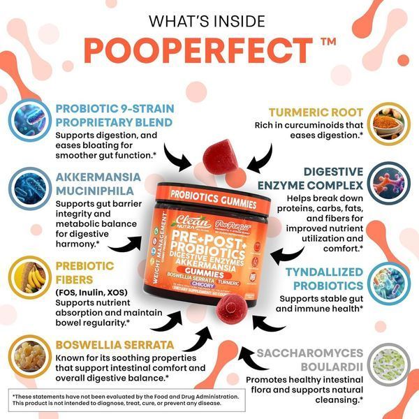Домішка преміумкласу повна підтримка кишківника Clean Nutraceuticals Prebiotic Postbiotic Digestive Enzymes Gummies 60 таблеток 2925390700 фото