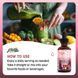 Добавка премиум-класса вагинальные пробиотики Clean Nutraceuticals Vaginal Probiotics Liquid Drops 60 мл 2553999320 фото 5