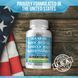 Повний комплекс на основі морського моху Stamiron Irish Sea Moss 30,000 mg Black Seed Oil Capsules 30,000mg with Burdock Root 3000mg 2058332132 фото 3