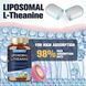 Добавка премиум-класса сбалансированное настроение энергия Totaria Liposomal L-Theanine 120 капсул 4384308035 фото 4