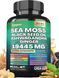 Мощная комплексная добавка Zoyava Sea Moss 7000mg Black Seed Oil 4000mg Ashwagandha 2000mg Turmeric 2000mg Bladderwrack 2000mg 2058332140 фото 6