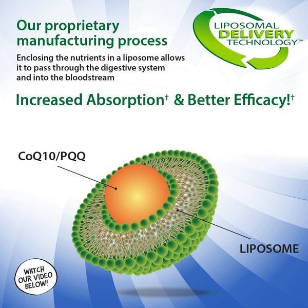 Мега-липосомальный CoQ10 Aurora Nutrascience Mega-Liposomal CoQ10/PQQ+ 480 мл 4384306272 фото