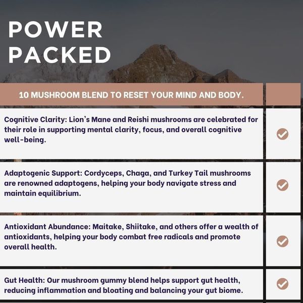 Ноотропная добавка премиум-класса Evolve Nutraceuticals Vital Mushroom 60 таблеток 4384306522 фото
