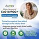 Мега-липосомальный CoQ10 Aurora Nutrascience Mega-Liposomal CoQ10/PQQ+ 480 мл 4384306272 фото 2