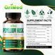 Превосходная формула, общее здоровье и контроль веса GriMed Psyllium Husk 90 капсул 4384306123 фото 3