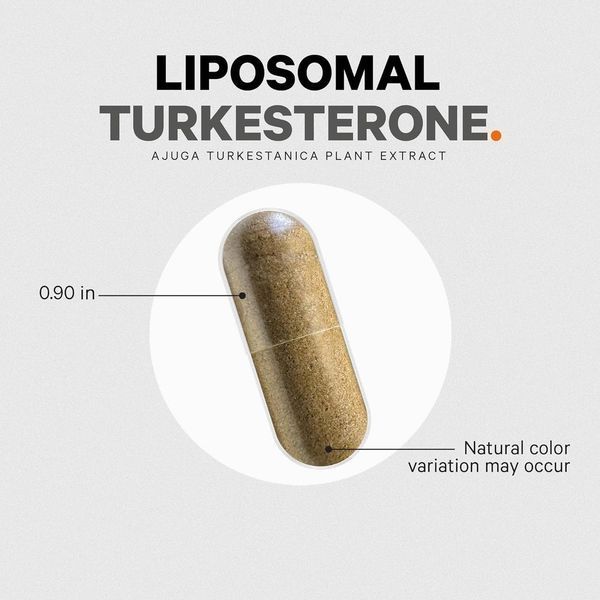 Ліпосомальні капсули туркестерону Codeage Turkesterone 120 капсул 2058331907 фото