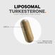 Ліпосомальні капсули туркестерону Codeage Turkesterone 120 капсул 2058331907 фото 4