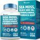Мультимінеральна суміш преміумкласу OLLpaten Sea Moss Black Seed Oil Ashwagandha Turmeric Bladderwrack Burdock 60 капсул 2351478494 фото 6